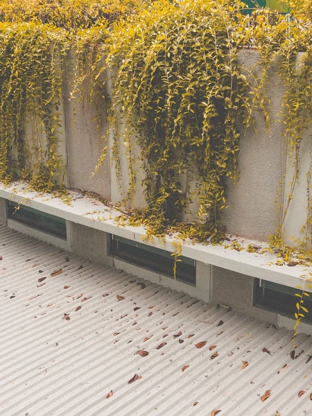Cantilevered structures