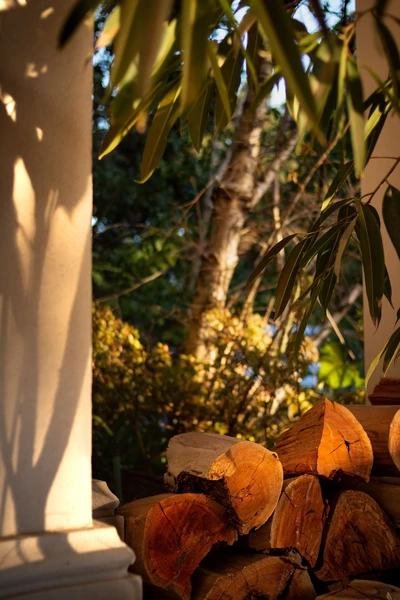 Timber Veranda Shadows