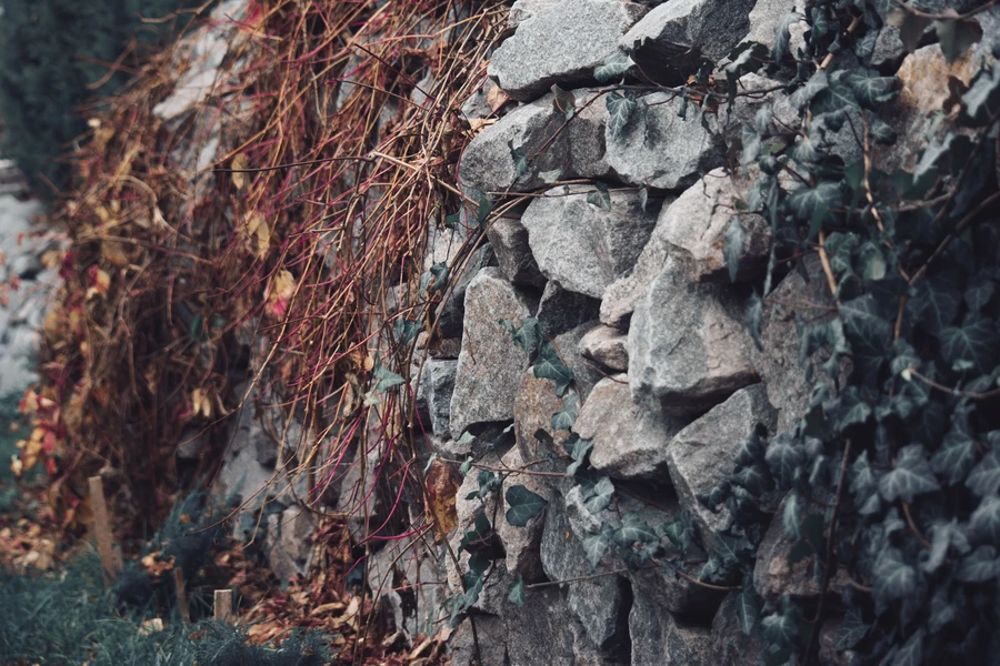 Botanical Structures