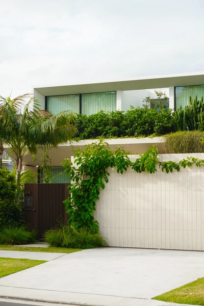 Minimalist Urban Garden