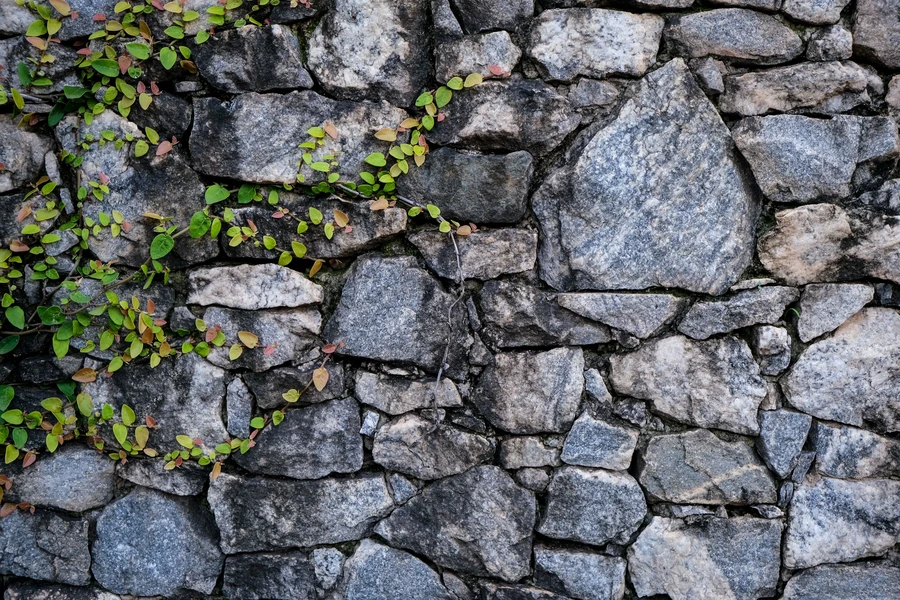 Botanical curation and architectural landscape design