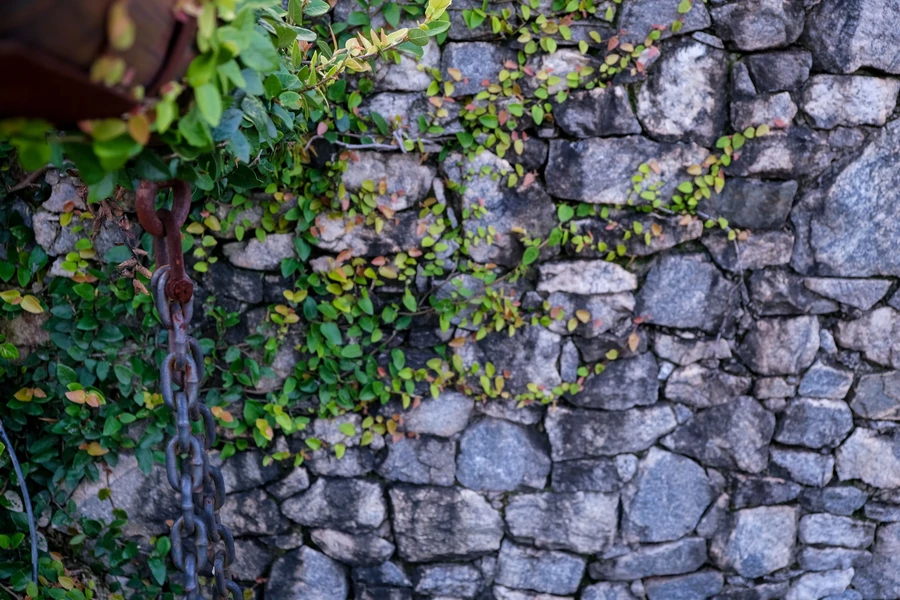 Bioswales