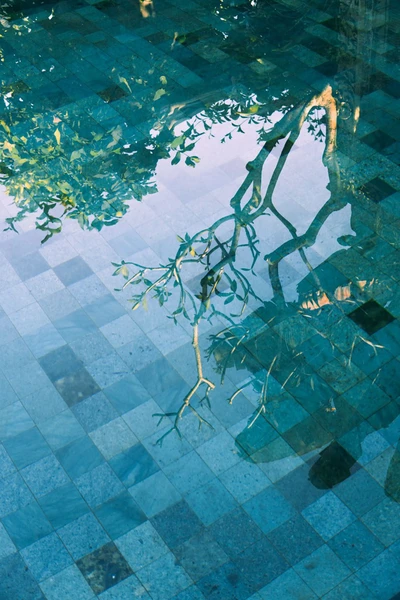 Architectural garden project