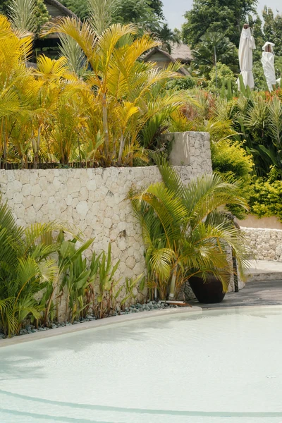 Subtropical canopy project